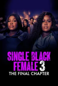 Одинокая темнокожая женщина: Последняя глава (фильм 2025)