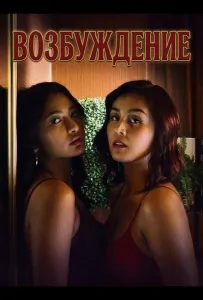 Возбуждение (фильм 2025)